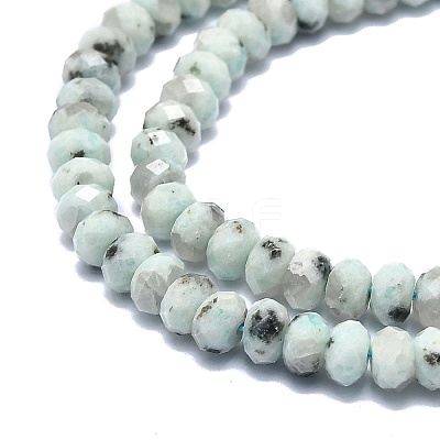 Natural Sesame Jasper Beads Strands G-F715-094-1