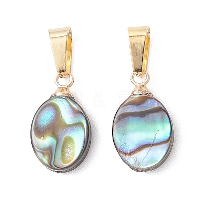 Abalone Shell/Paua Shell Pendants PALLOY-JF05265-1