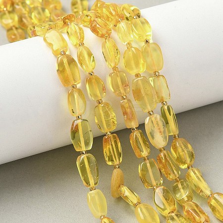 Natural Amber Beads Strands G-L095-C01-02-1