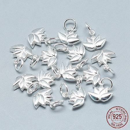 925 Sterling Silver Charms X-STER-T002-117S-1