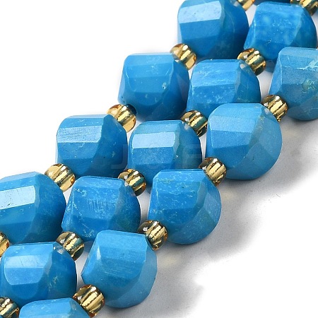 Dyed Natural Howlite Beads Strands G-G023-B01-02A-1