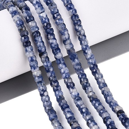 Natural Blue Spot Jasper Beads Strands G-Q606-46A-02-1
