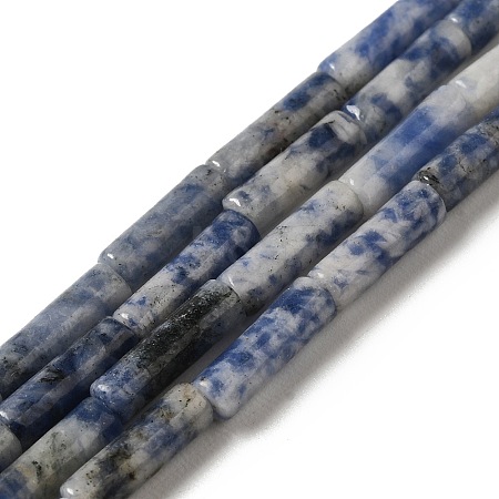 Natural Blue Spot Jasper Beads Strands G-D464-34-1