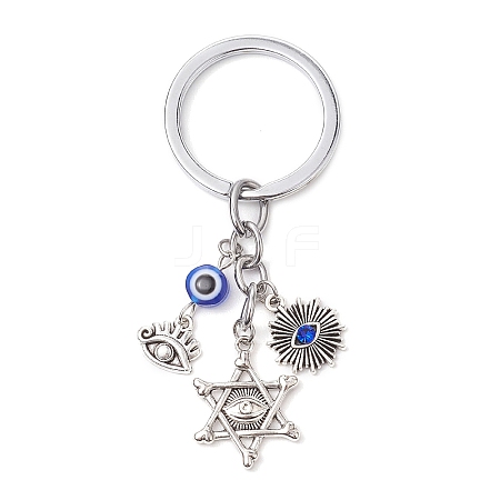 Resin & Tibetan Style Alloy Keychains KEYC-JKC00780-01-1