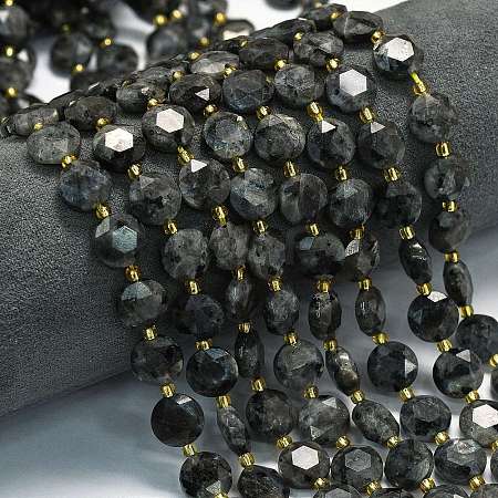 Natural Larvikite Beads Strands G-C116-A155-01-1