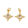 Brass Micro Pave Clear Cubic Zirconia Charms KK-F941-40B-G-1