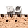 304 Stainless Steel European Beads STAS-D382-02K-P-2