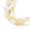Natural Shell Pearl Beads Strands BSHE-H109-05-4