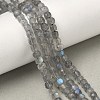 Natural Labradorite Beads Strands G-B168-B07-4x4mm-1