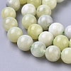 Natural Sinkiang Jade Beads Strands X-G-L538-036-6mm-2