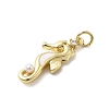 Brass Micro Pave Cubic Zirconia Pendants KK-A278-04G-03-2