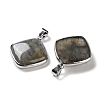 Natural Labradorite Pendants G-B123-04P-2