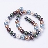 Shell Pearl Beads Strands X-BSHE-L035-6mm-I14-2