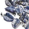 Natural Blue Spot Jasper Pendants G-B127-01P-01-1