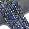 Natural Sodalite Beads Strands G-K389-E74-01B-2