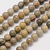Natural Fossil Coral Round Bead Strands G-N0166-05-8mm-1