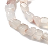 Natural Agate Beads Strands G-F745-01-4