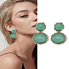 1 Pair Resin Dangle Stud Earrings EJEW-LP0004-82A-1