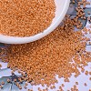 MIYUKI Round Rocailles Beads X-SEED-G007-RR0423-1