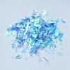 Plastic Candy Sequins/Paillette Chip DIY-I019-01J-2