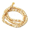1 Strand Natural Trochid Shell/Trochus Shell Beads Strands SSHEL-YW0001-12A-1