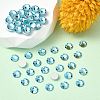 Preciosa® MAXIMA Crystal No Hotfix Flatback Stones Y-PRC-NSS16-60010-2