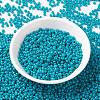 MIYUKI Round Rocailles Beads SEED-G008-RR4483-2