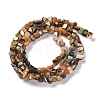 Natural Paua Shell Beads Strands BSHE-B007-04-2