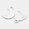 925 Sterling Silver Charms STER-I014-19S-2