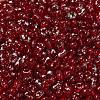 Spray Painted Glass Seed Beads SEED-F005-11A-02-3