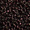 TOHO 6/0 Round Beads SEED-TR06-0026C-4