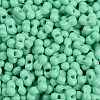 Baking Paint Glass Seed Beads SEED-K010-A07-2