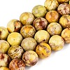 Natural Imperial Jasper Beads Strands G-N342-63J-2