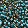 Glass Seed Beads X1-SEED-H002-B-D223-3