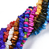 Natural Trochid Shell/Trochus Shell Beads Strands SHEL-S258-080-5