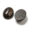 Natural Bronzite Cabochons G-C115-01A-21-2