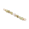 12Pcs 12 Styles Faceted Round Natural Mixed Stone Beaded Connector Charms PALLOY-JF03557-4