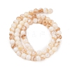 Natural Freshwater Shell Beads Strands X-SHEL-T011-02-6mm-2