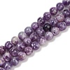 Natural Lepidolite Beads Strands G-U026-A06-8mm-2
