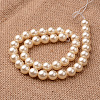 Polished Round Grade A Shell Pearl Bead Strands BSHE-M027-12mm-24-2
