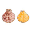 Electroplate Multicolor Sea Shell Pendants SSHEL-S262-31-2