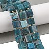 Natural Apatite Beads Strands G-G053-B18-04-2