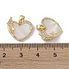 Brass & Shell & Clear Cubic Zirconia Charms KK-G497-16G-3