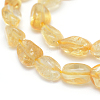 Natural Citrine Beads Strands X-G-P331-03A-3