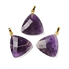 Natural Amethyst Pendants G-L614-D04-G01-1