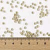 TOHO Round Seed Beads SEED-JPTR08-0262-4