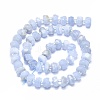 Natural Blue Lace Agate Beads Strands G-F715-033A-2