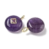 Natural Amethyst Pendants G-I391-01G-12-2