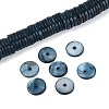 Natural Freshwater Shell Beads Strands SHEL-N037-03A-02-1