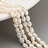 Natural Keshi Pearl Cultured Freshwater Pearl Beads Strands PEAR-P062-25B-2